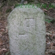 Lesy v okol� Lesnice - detail.