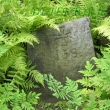 Arboretum - B�l� Lhota